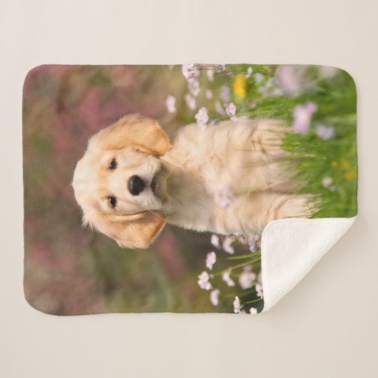 Cute Golden Retriever Dog Puppy Face Animal Foto Sherpa Deken (Voorkant (horizontaal))