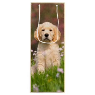 Cute Golden Retriever Dog Puppy Face Animal Foto Wijn Cadeautas