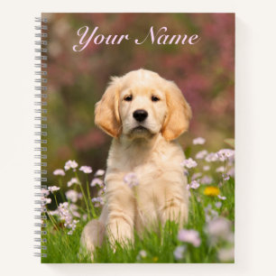 Cute Golden Retriever Dog Puppy Face Animal - Naam Notitieboek
