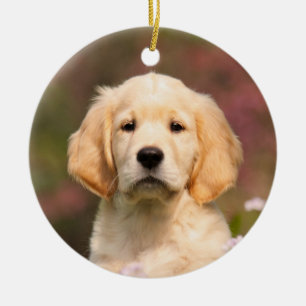 Cute Golden Retriever Dog Puppy hang Decor Keramisch Ornament