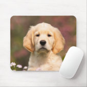 Cute Golden Retriever Dog Puppy Portrait Muismat (Met muis)
