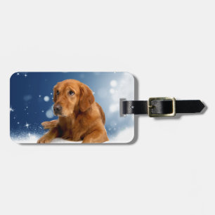 Cute Golden Retriever Dog Sitting in sneeuwtranen Bagagelabel