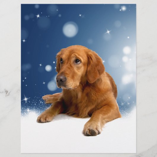 Cute Golden Retriever Dog Sitting in sneeuwtranen Briefhoofd Sjabloon (Voorkant)