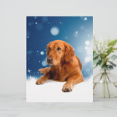 Cute Golden Retriever Dog Sitting in sneeuwtranen Briefhoofd Sjabloon (Staand voorkant)