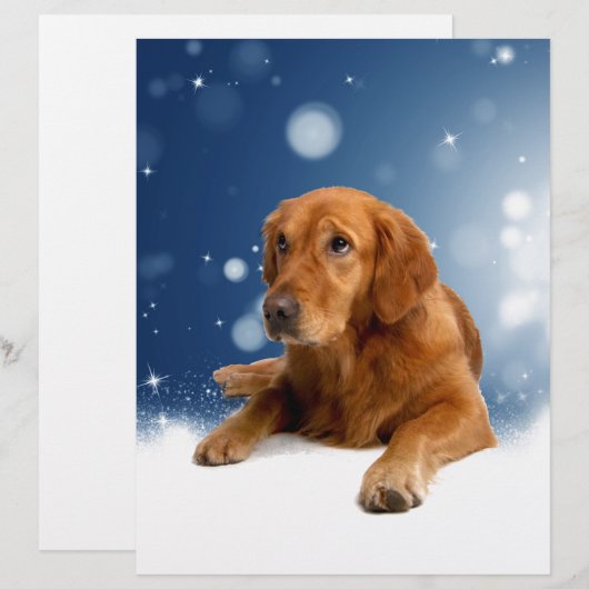Cute Golden Retriever Dog Sitting in sneeuwtranen Briefhoofd Sjabloon (Voorkant / Achterkant)