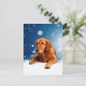 Cute Golden Retriever Dog Sitting in sneeuwtranen Briefkaart (Staand voorkant)