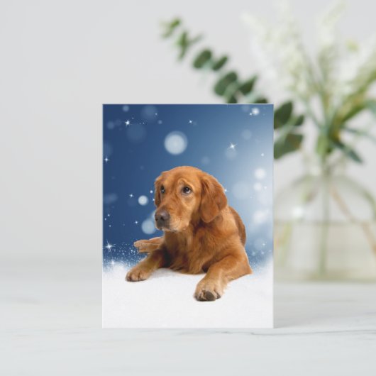 Cute Golden Retriever Dog Sitting in sneeuwtranen Briefkaart (Staand voorkant)