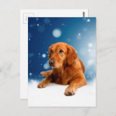 Cute Golden Retriever Dog Sitting in sneeuwtranen Briefkaart (Voorkant / Achterkant)