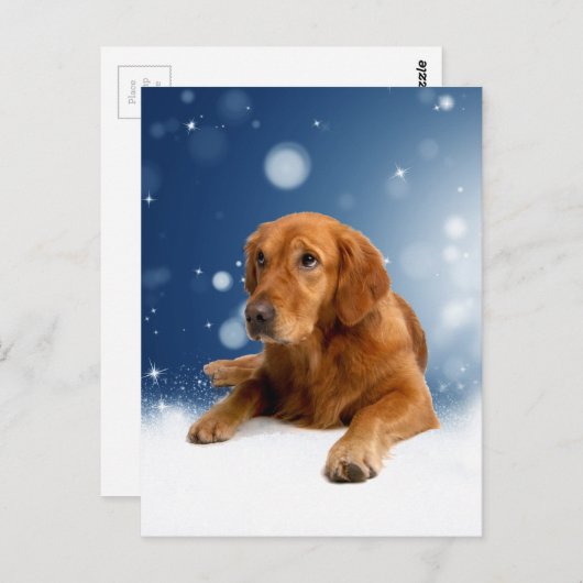 Cute Golden Retriever Dog Sitting in sneeuwtranen Briefkaart (Voorkant / Achterkant)