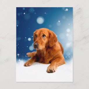Cute Golden Retriever Dog Sitting in sneeuwtranen Briefkaart