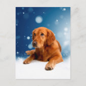 Cute Golden Retriever Dog Sitting in sneeuwtranen Briefkaart (Voorkant)