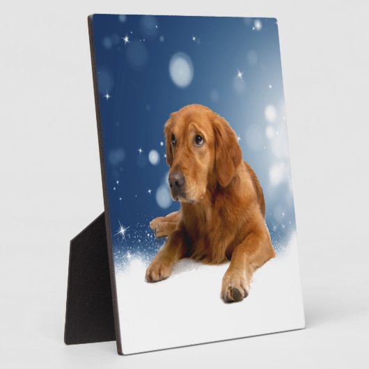 Cute Golden Retriever Dog Sitting in sneeuwtranen Fotoplaat (Zijkant)