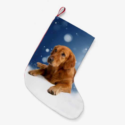 Cute Golden Retriever Dog Sitting in sneeuwtranen Kleine Kerstsok (Voorkant (Hangend))