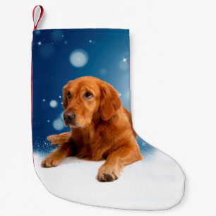 Cute Golden Retriever Dog Sitting in sneeuwtranen Kleine Kerstsok