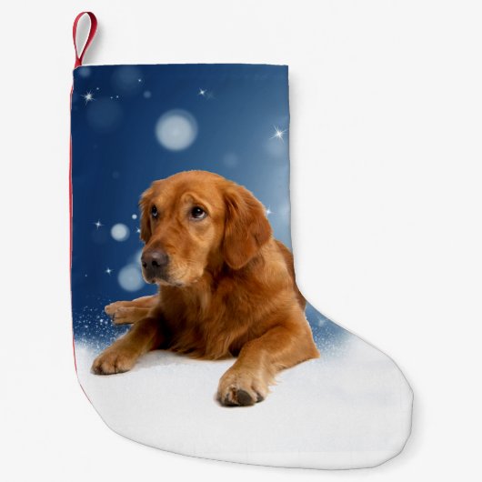 Cute Golden Retriever Dog Sitting in sneeuwtranen Kleine Kerstsok (Voorkant)