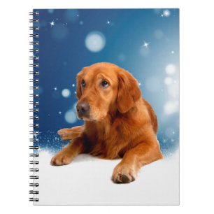 Cute Golden Retriever Dog Sitting in sneeuwtranen Notitieboek