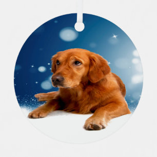 Cute Golden Retriever Dog Sitting in sneeuwtranen Ornament