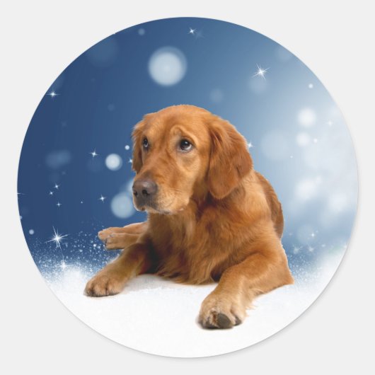Cute Golden Retriever Dog Sitting in sneeuwtranen Ronde Sticker (Voorkant)