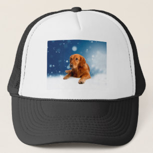 Cute Golden Retriever Dog Sitting in sneeuwtranen Trucker Pet