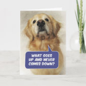 Cute Golden Retriever Funny Birthday Riddle Kaart (Voorkant)