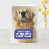 Cute Golden Retriever Funny Birthday Riddle Kaart (Gele Bloem)