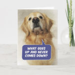 Cute Golden Retriever Funny Birthday Riddle Kaart<br><div class="desc">Dit is Riley, een mooie Gouden Terugkijker die opkijkt en de oude vraag stelt: "Wat gaat er omhoog en komt nooit naar beneden?" Het antwoord: "Je leeftijd!" Ze verontschuldigt zich ook door gezegde: "Sorry, ik wilde het niet inwrijven." Natuurlijk wel. Fun kaart voor Golden liefhebbers met een gevoel van humor....</div>