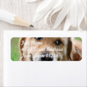 Cute Golden Retriever Mailing Labels (Insitu)