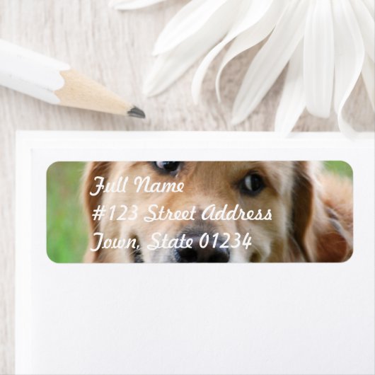 Cute Golden Retriever Mailing Labels (Insitu)