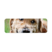 Cute Golden Retriever Mailing Labels (Voorkant)