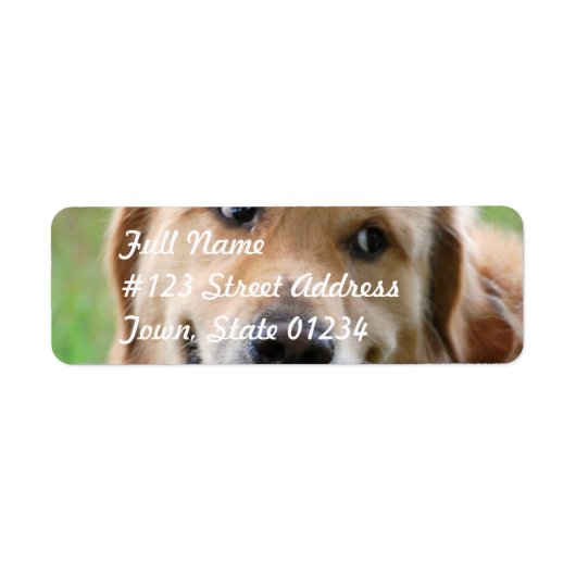 Cute Golden Retriever Mailing Labels (Voorkant)