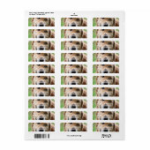 Cute Golden Retriever Mailing Labels (Full Sheet)