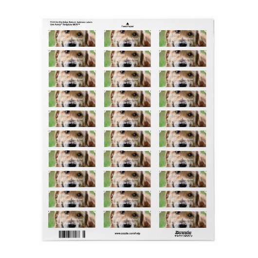Cute Golden Retriever Mailing Labels (Full Sheet)