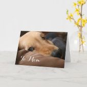 Cute Golden Retriever Moederdag Kaart (Gele Bloem)