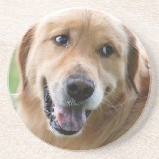 Cute Golden Retriever Onderzetter (Voorkant)