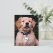 Cute Golden Retriever Puppy Briefkaart (Staand voorkant)