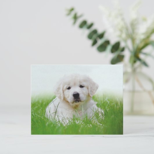 Cute Golden Retriever Puppy Dog Green Grass Briefkaart (Staand voorkant)
