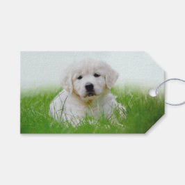 Cute Golden Retriever Puppy Dog Green Grass Cadeaulabel