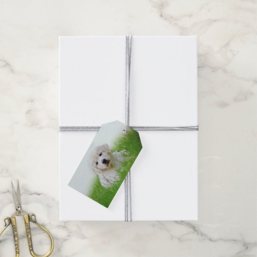 Cute Golden Retriever Puppy Dog Green Grass Cadeaulabel (Met Touw)