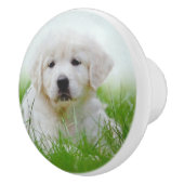 Cute Golden Retriever Puppy Dog Green Grass Keramische Knop (Rechts)