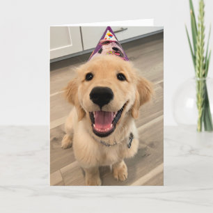Cute Golden Retriever Puppy Dog met Birthday Pet Kaart