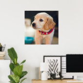 Cute Golden Retriever Puppy Dog Poster (Thuiskantoor)