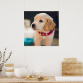 Cute Golden Retriever Puppy Dog Poster (Keuken)