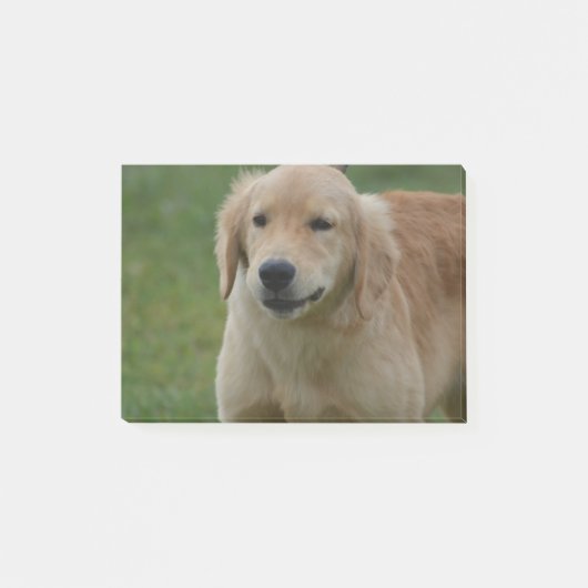 Cute Golden Retriever Puppy Post-it® Notes (Voorkant)