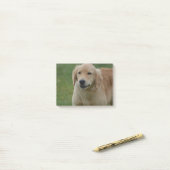 Cute Golden Retriever Puppy Post-it® Notes (Op bureau)