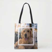Cute Golden Retriever