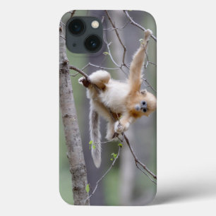 Cute Golden Snub nosed Monkey op Tree Branches Case-Mate iPhone Case
