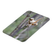 Cute Golden Snub nosed Monkey op Tree Branches Magneet (Linkerzijde)