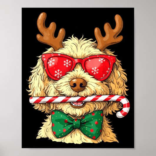 Cute Goldendoodle Dogs Christmas Lights Golden Doo Poster (Voorkant)