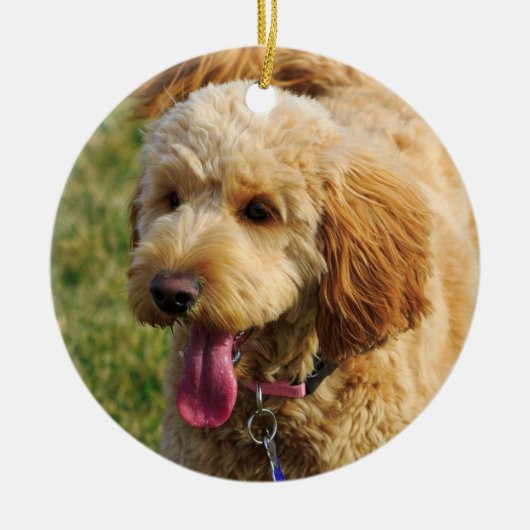 Cute Goldenle Dog Keramisch Ornament (Voorkant)