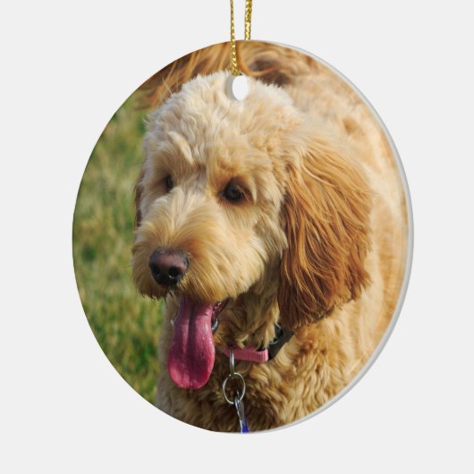 Cute Goldenle Dog Keramisch Ornament (Links)